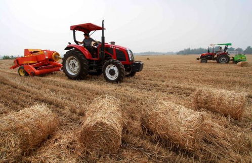 赤峰市林西县农作物秸秆综合利用试点项目顺利通过验收