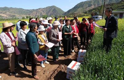 武山 统防统治为粮食生产“保驾护航”