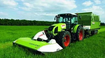 中俄农业合作新篇章 从沃土到餐桌的共赢之路