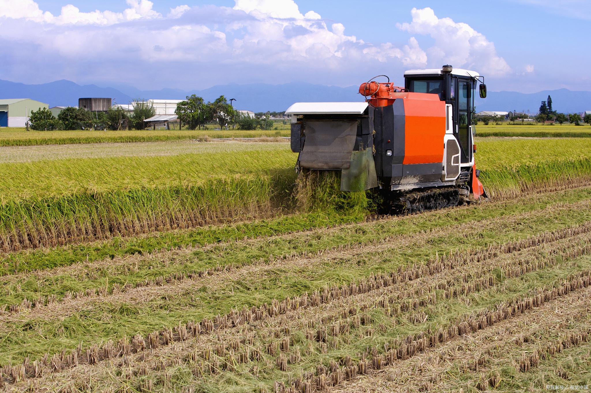 粮食安全战略引领，A股农业板块逆市走强 四只潜力黑马股深度解析