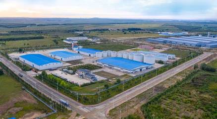 恒大粮油荣获“深圳市重点农业龙头企业”称号，加码布局优质蔬菜产业