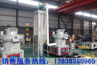 绿色宝库 蔬菜的营养价值与饮食智慧