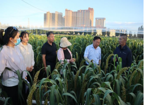 内蒙古农牧业科学院农作物研究与发展